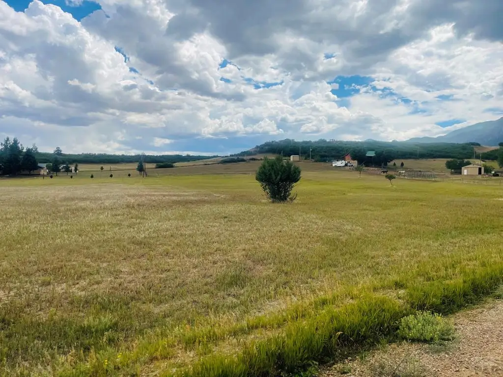 TBD Terlesa Dr, Colorado City, CO 81019 - #1