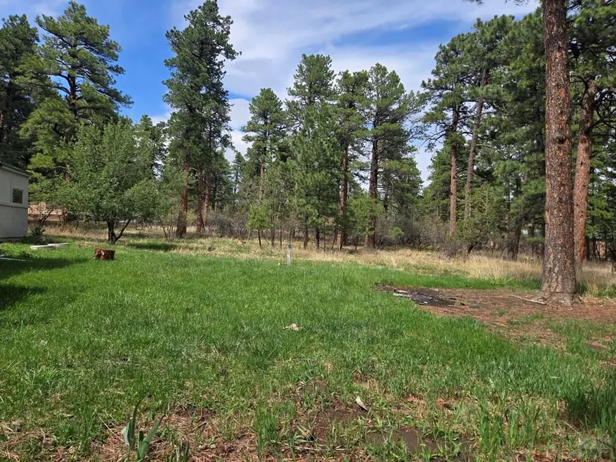 8229 Green Lane, Rye, CO 81069 - #2