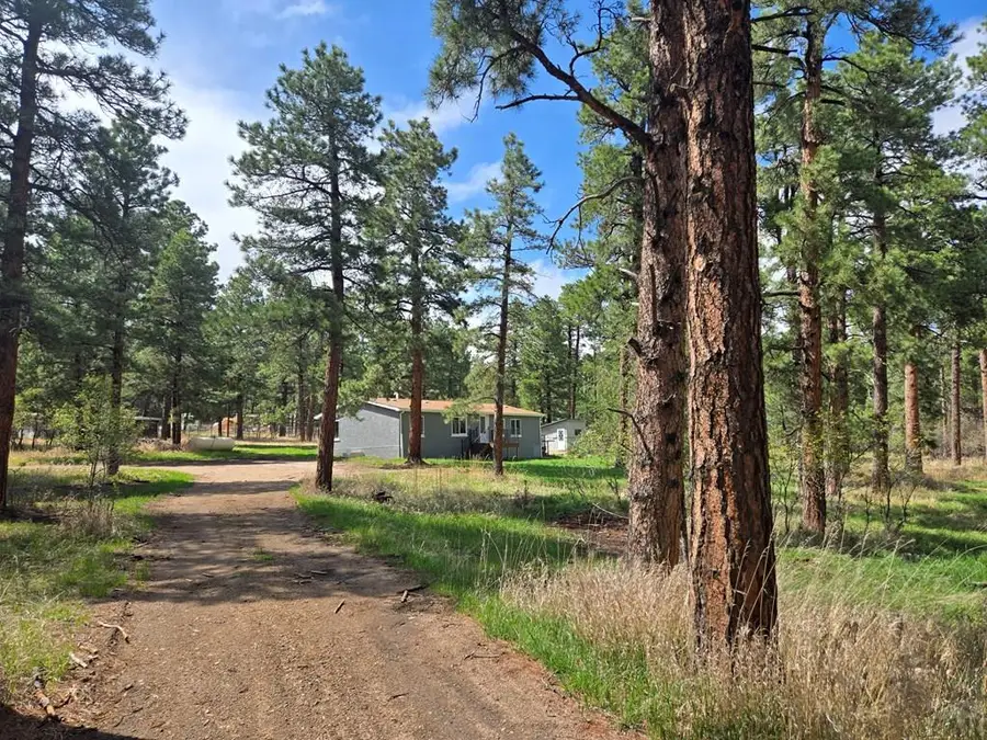8229 Green Lane, Rye, CO 81069 - #3