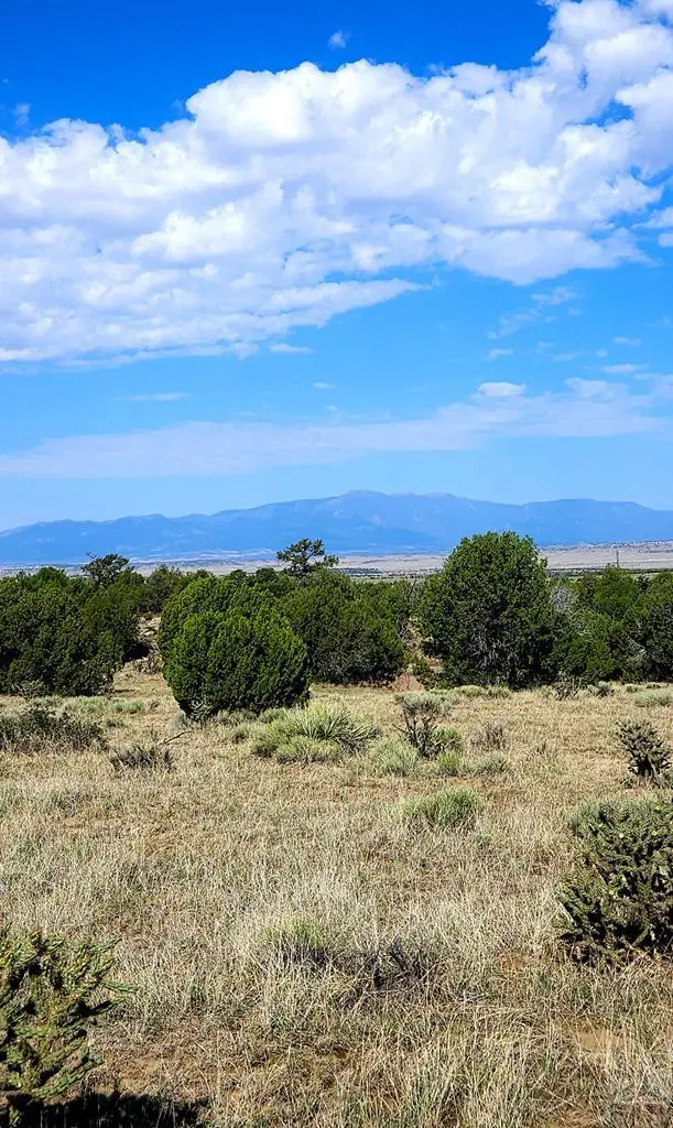 Lot 60 Turkey Ridge Rd, Walsenburg, CO 81089 - #3