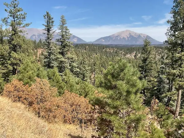 Address Withheld By Seller, Weston, CO 81091