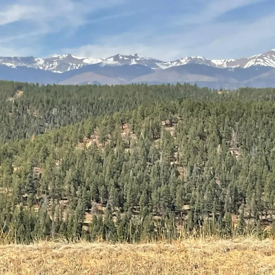 Address Withheld By Seller, Weston, CO 81091 - #2