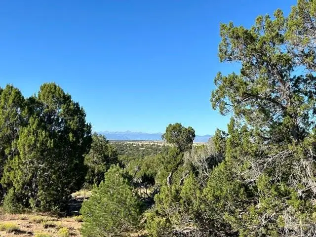 Lot 12 City Ranch Property, Walsenburg, CO 81089 - #2