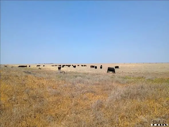 160+160 Acre County Rd M, Walsh, CO 81090 - #2