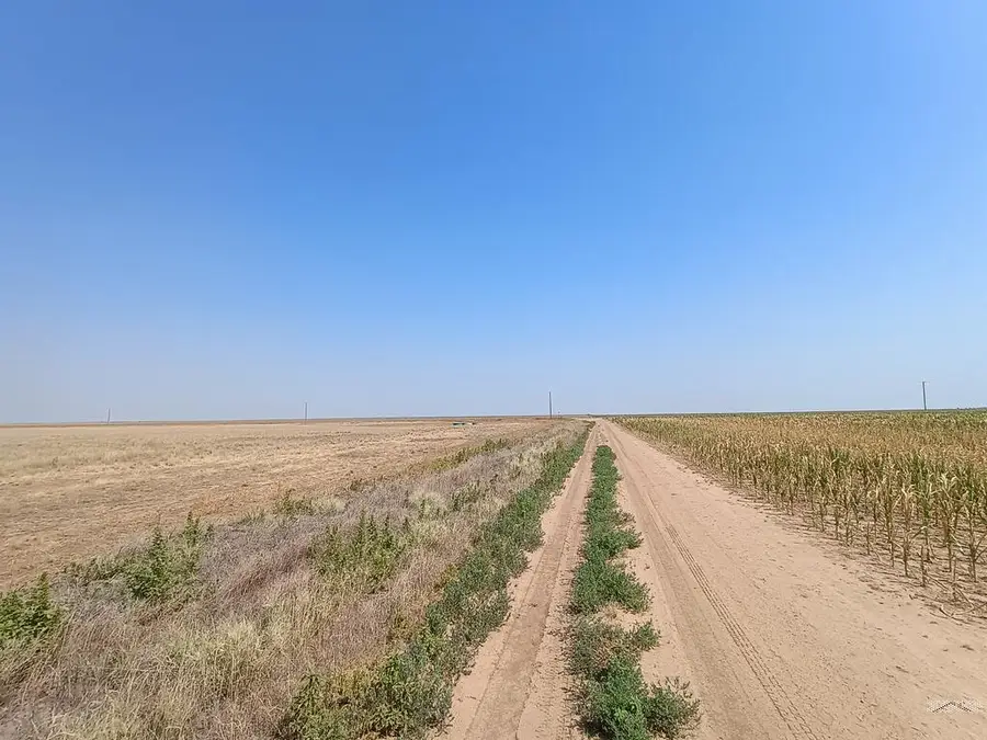 160+160 Acre County Rd M, Walsh, CO 81090 - #3