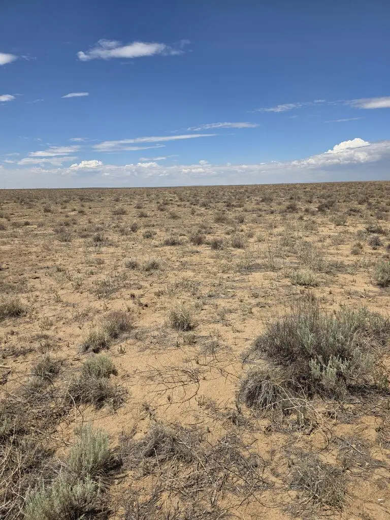 TBD E County Line Rd, Olney Springs, CO 81062 - #2