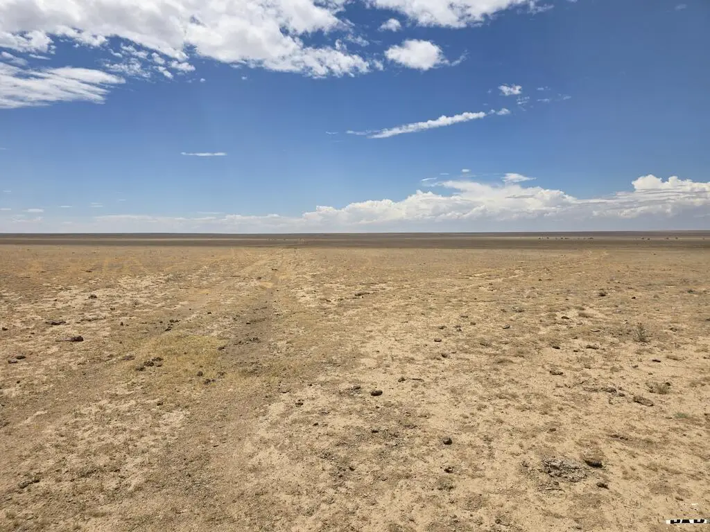 TBD Hwy 109, Grant, CO 83448 - #1