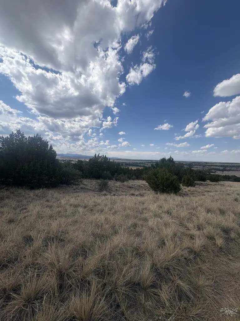 Lot 558 Shavano Drive, Colorado City, CO 81019 - #1