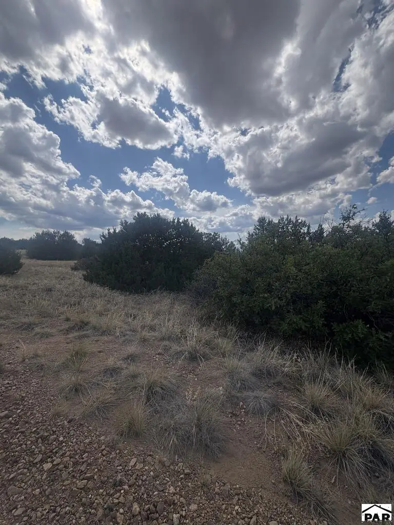 Lot 558 Shavano Drive, Colorado City, CO 81019 - #3