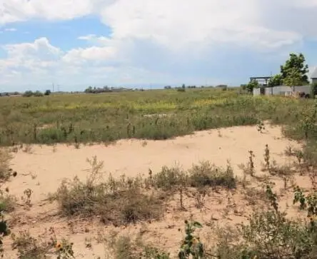 621 N Limon Dr, Pueblo West, CO 81007 - #2