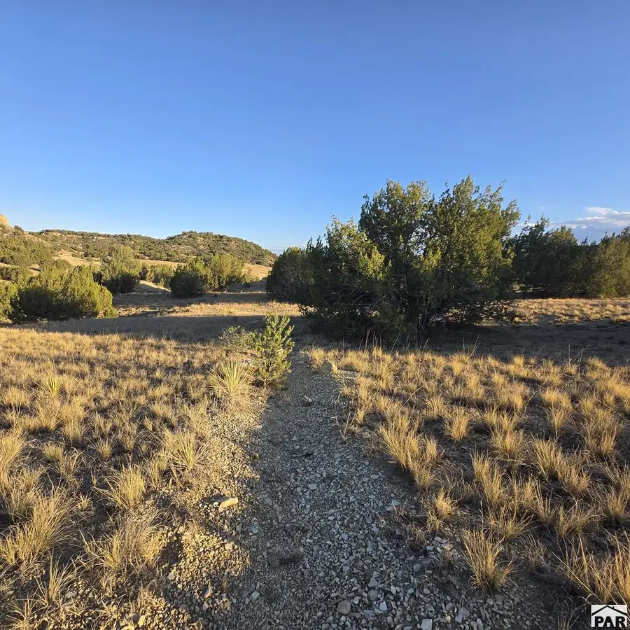 Par 11 Pine Bluff Dr, Pueblo, CO 81004 - #2