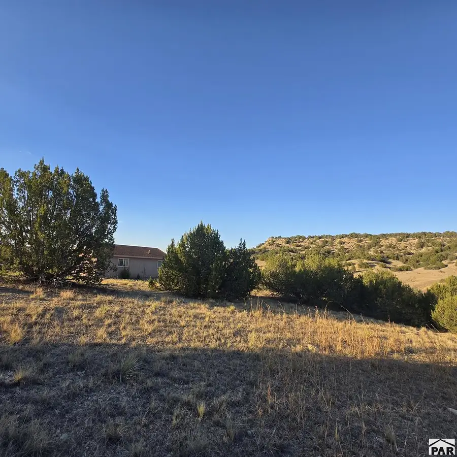 Par 11 Pine Bluff Dr, Pueblo, CO 81004 - #3