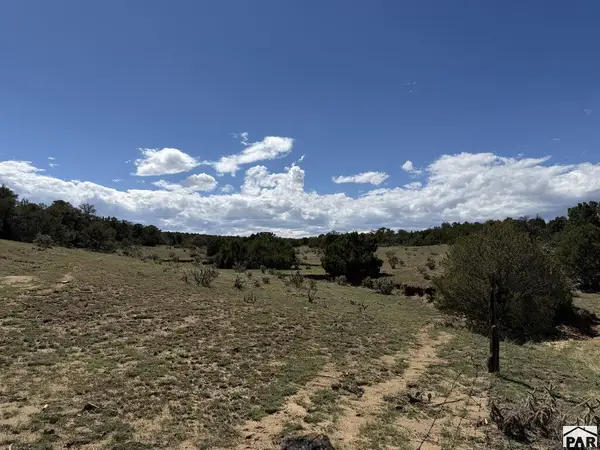 Lt 81a & 101 Twin Lakes Ranches, Walsenburg, CO 81089