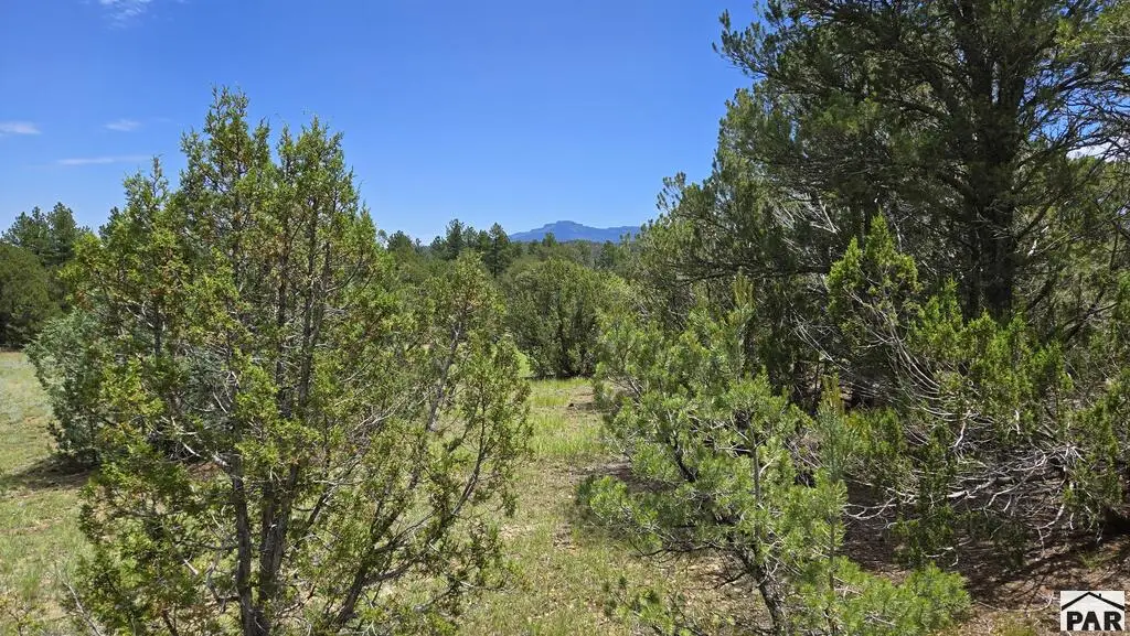 20 Colorado Mountain Lake Estates, Trinidad, CO 81082 - #1