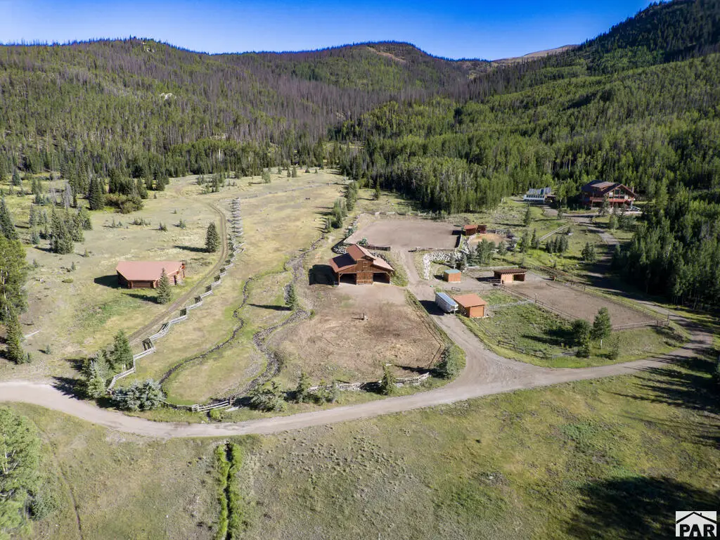 4320 Forest Road 503, Creede, CO 81130 - #1