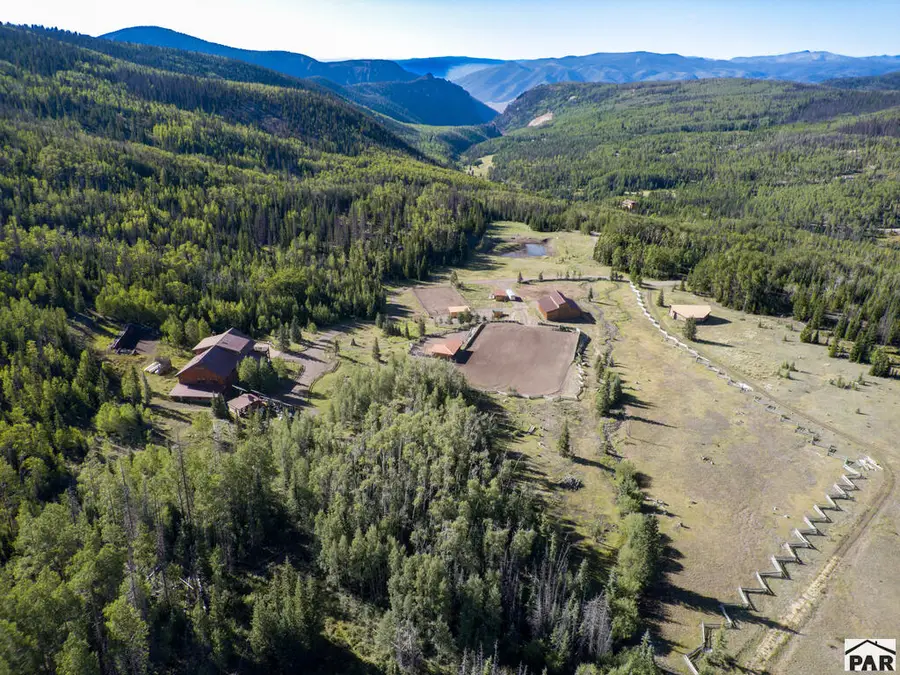 4320 Forest Road 503, Creede, CO 81130 - #2