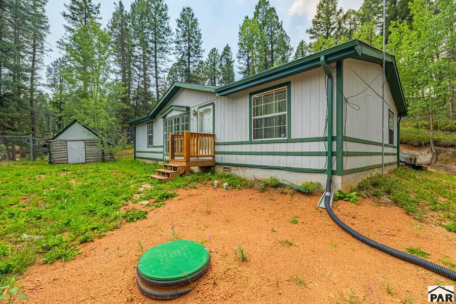 22 Silver Trail, Florissant, CO 80816 - #2