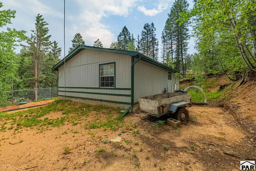 22 Silver Trail, Florissant, CO 80816 - #3