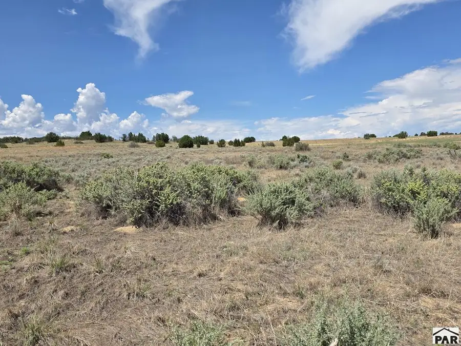 Lot 1189 Sandy Creek Dr, Colorado City, CO 81019 - #3