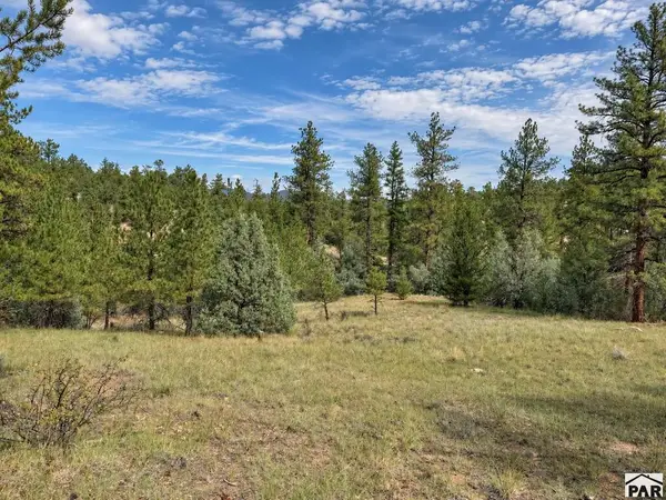 TBD K Path, Cotopaxi, CO 81223