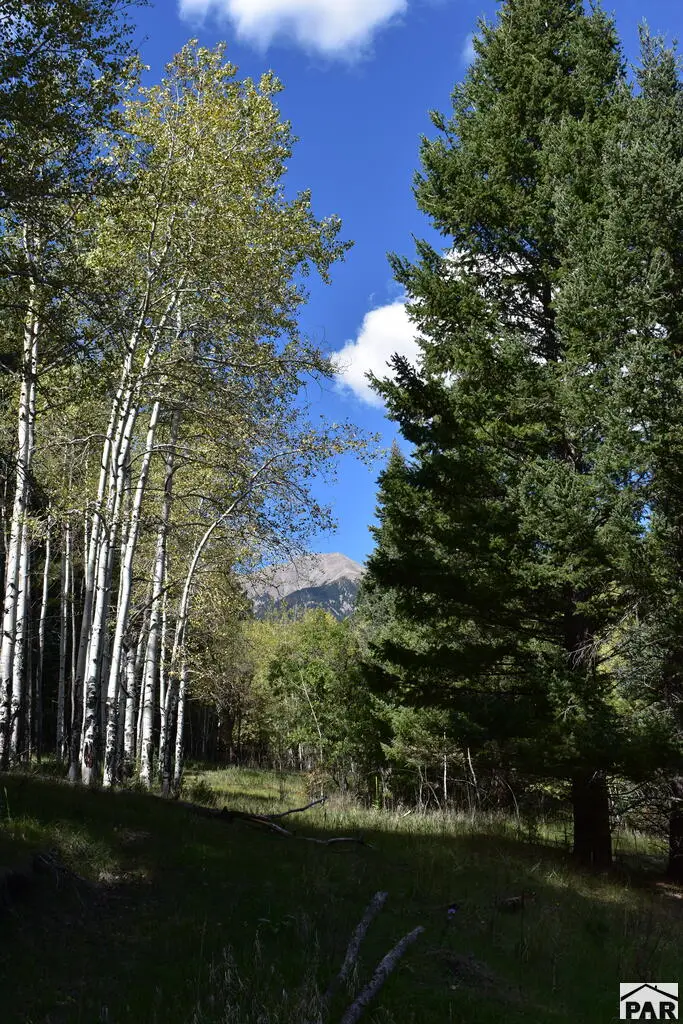 19560 County Road 54.2, Aguilar, CO 81020 - #1
