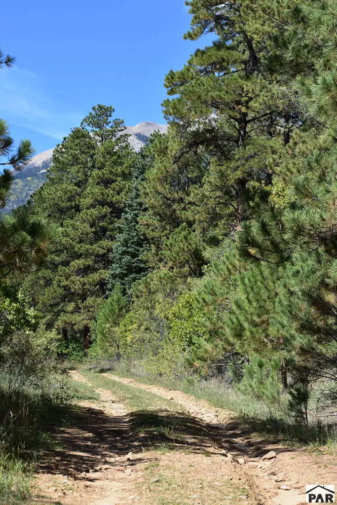 19560 County Road 54.2, Aguilar, CO 81020 - #2