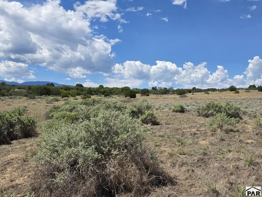 Lot 1176 Sandy Creek Dr, Colorado City, CO 81019 - #2