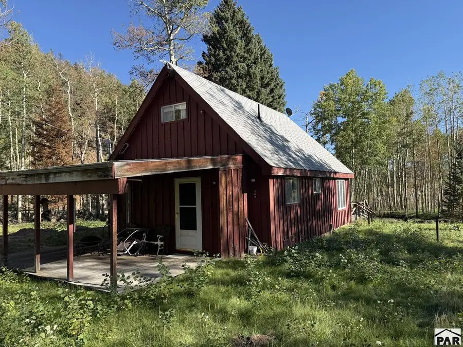 349 Columbine Cir, Rye, CO 81069 - #3