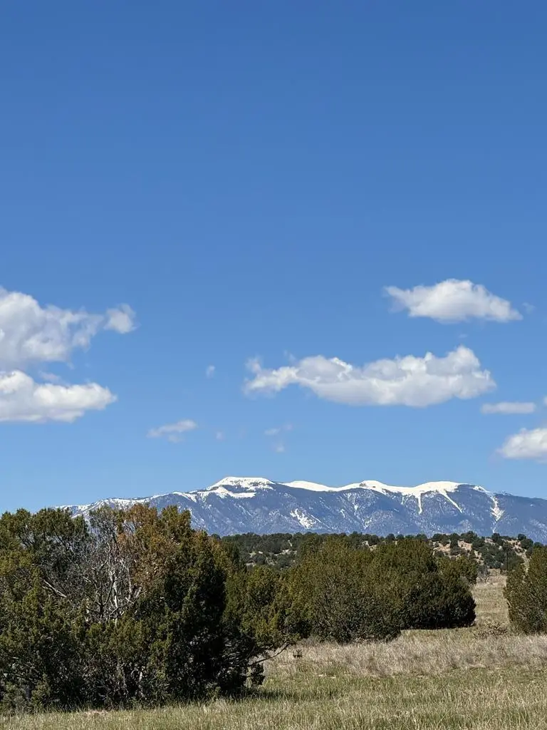TBD Matt Dillon Dr, Pueblo, CO 81004 - #2