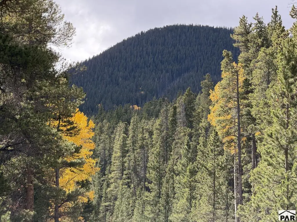 3417 No Site Address, Fort Garland, CO 81133 - #1
