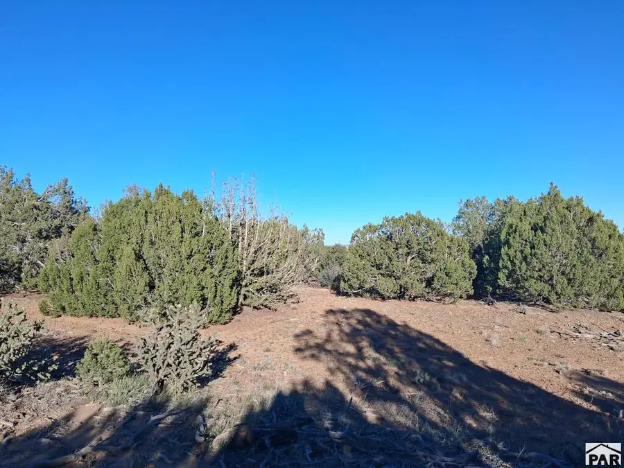 TBD Puesta Del Sal, Walsenburg, CO 81089 - #2