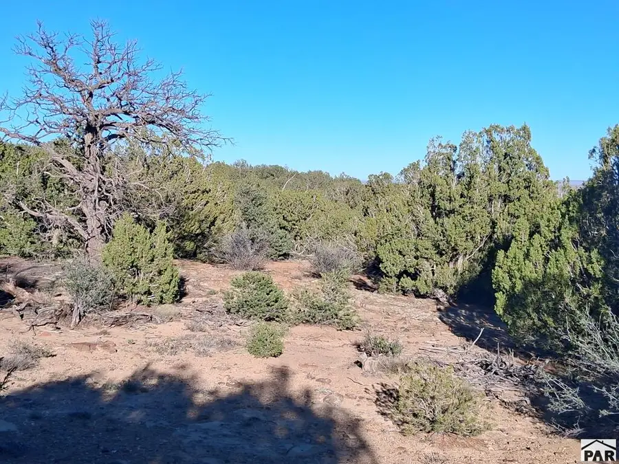 TBD Puesta Del Sal, Walsenburg, CO 81089 - #3