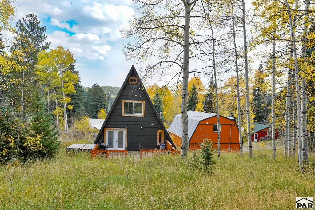 48 Angel Rd, Rye, CO 81069 - #1