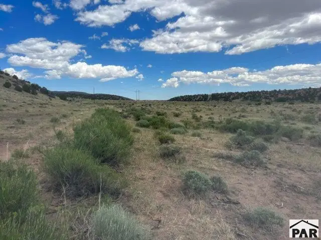 TBD County Rd 530, Walsenburg, CO 81089 - #3