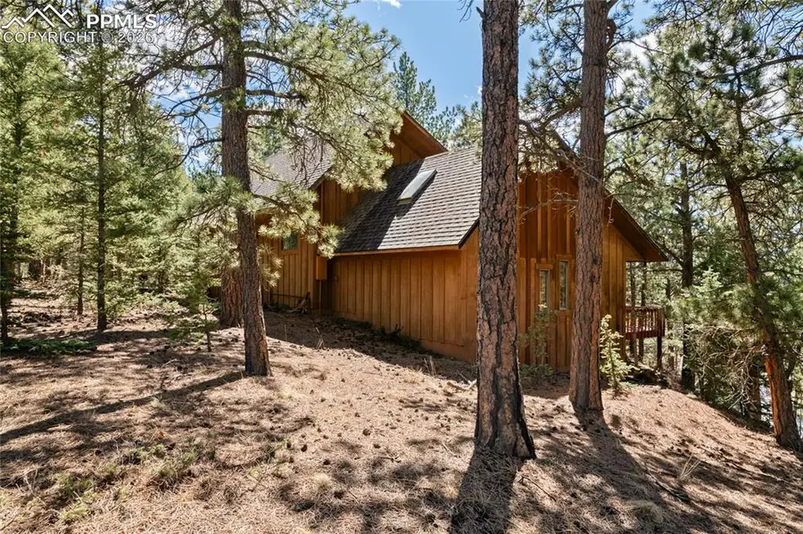 756 Spring Valley Drive, Divide, CO 80814 - #2