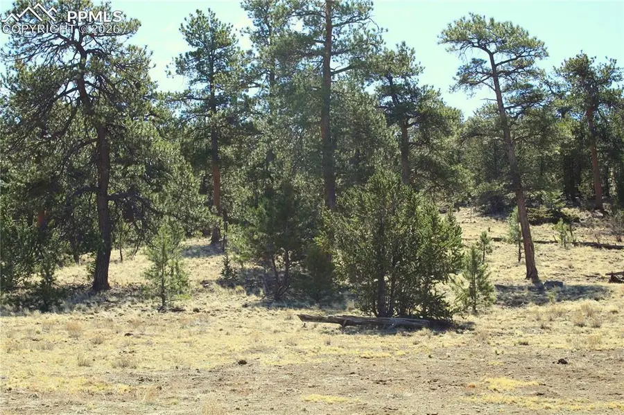 Ahlers Road, Hartsel, CO 80449 - #2