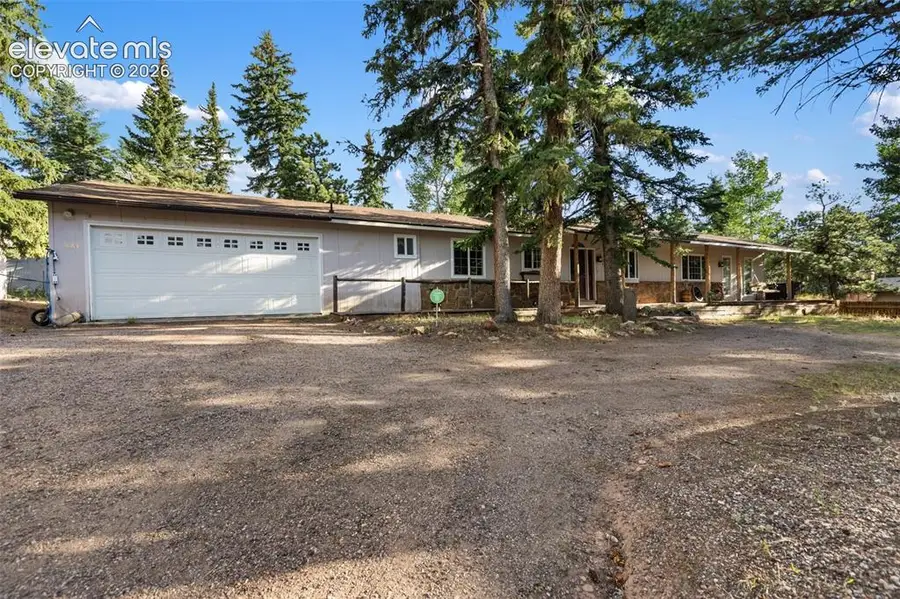 861 Teller Lane, Woodland Park, CO 80863 - #3