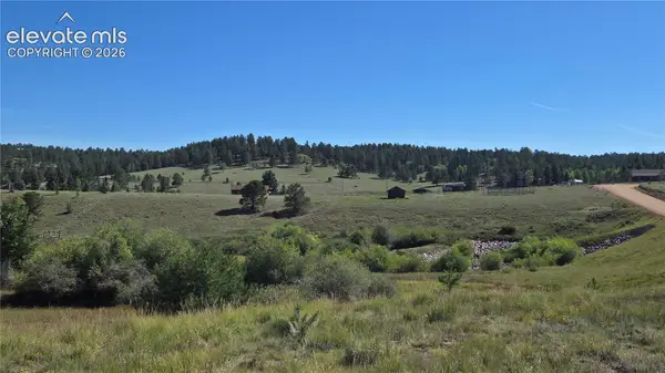 99 Uintah Ridge Road, Florissant, CO 80816