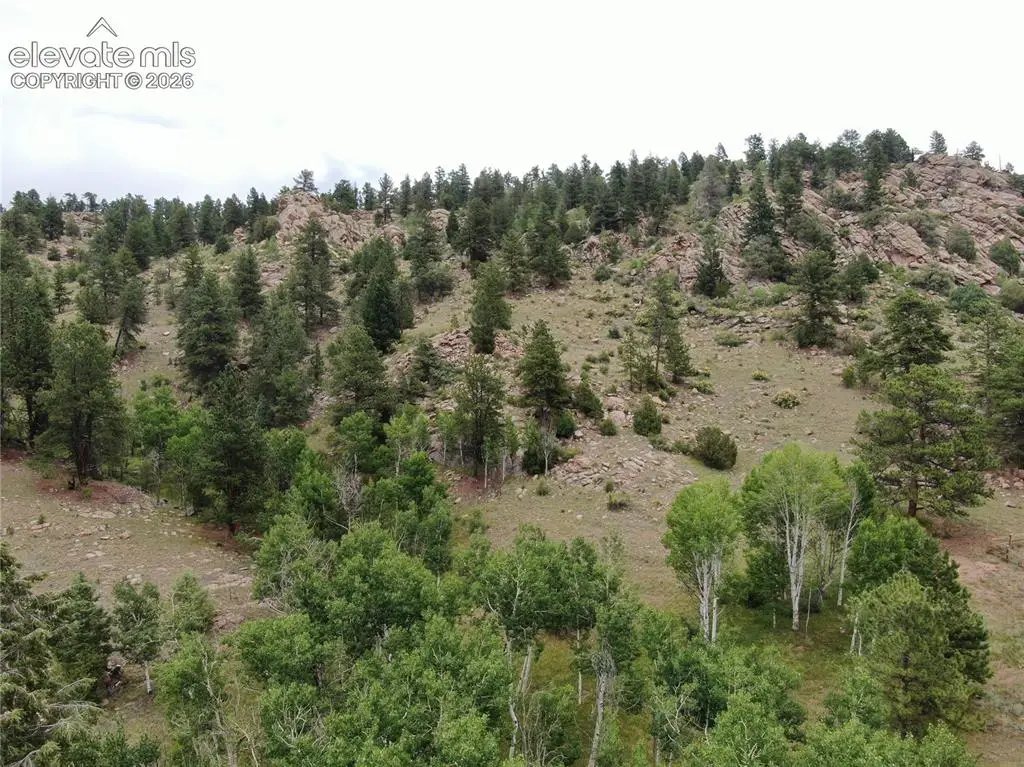 76 Crocus Circle, Florissant, CO 80816 - #1