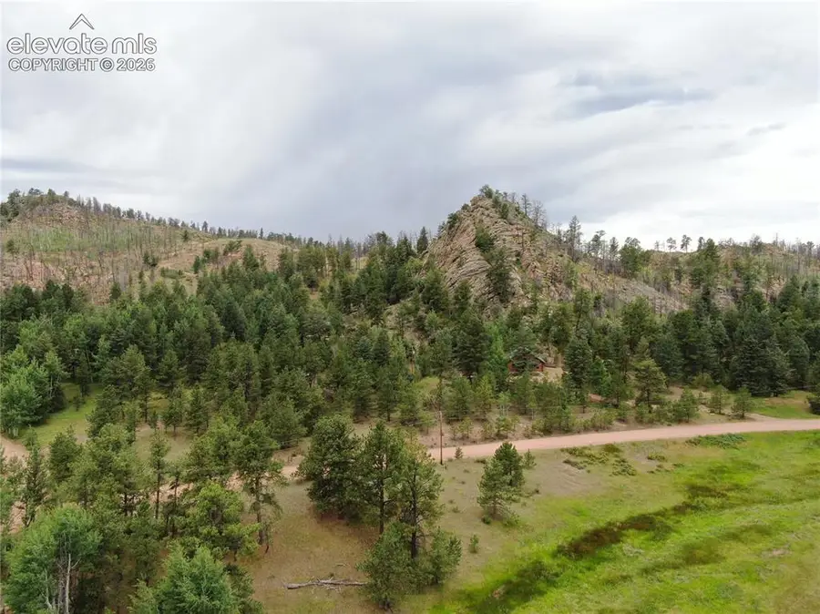 76 Crocus Circle, Florissant, CO 80816 - #2