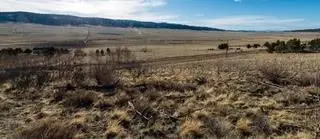 3503 Redhill Road, Fairplay, CO 80440 - Image #1