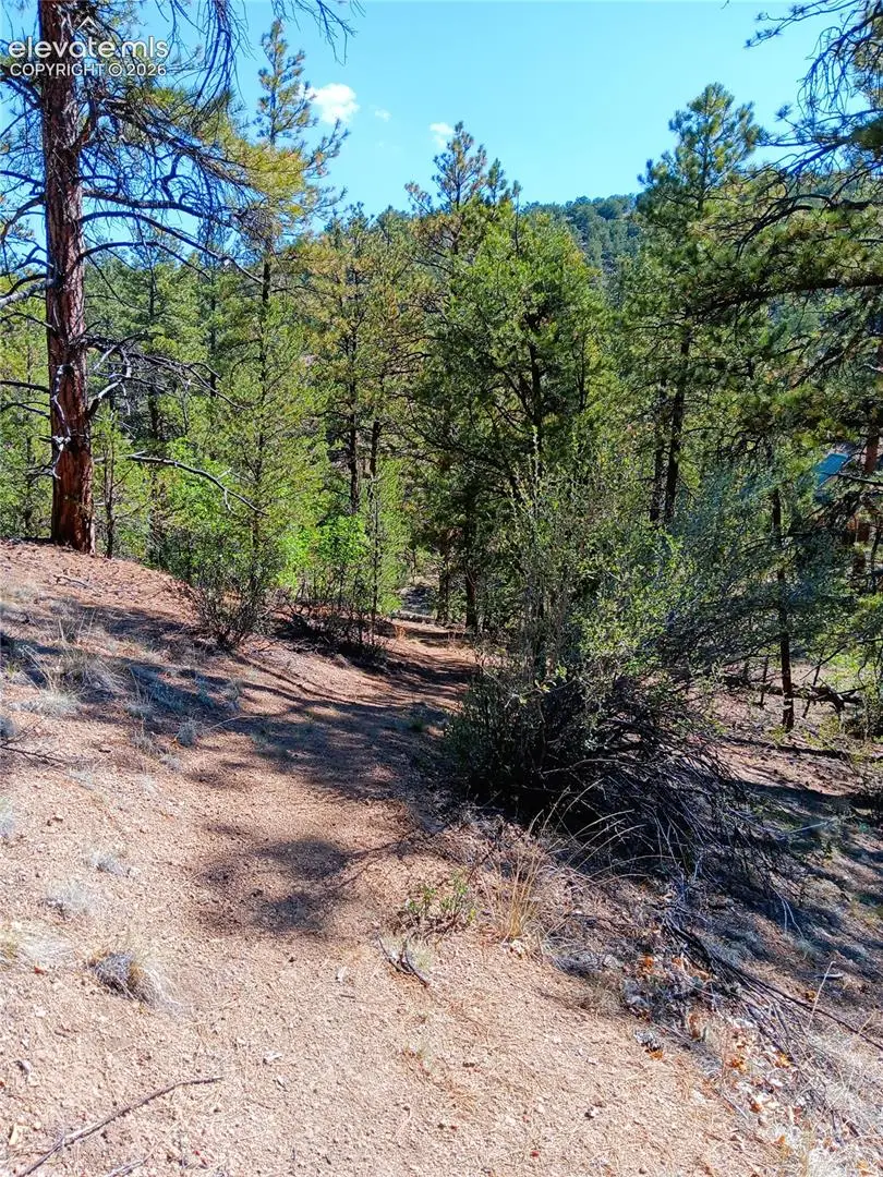 TR-21 43rd Trail, Cotopaxi, CO 81223 - #3