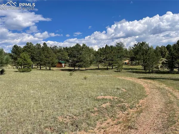 330 Arrowhead Drive, Florissant, CO 80816