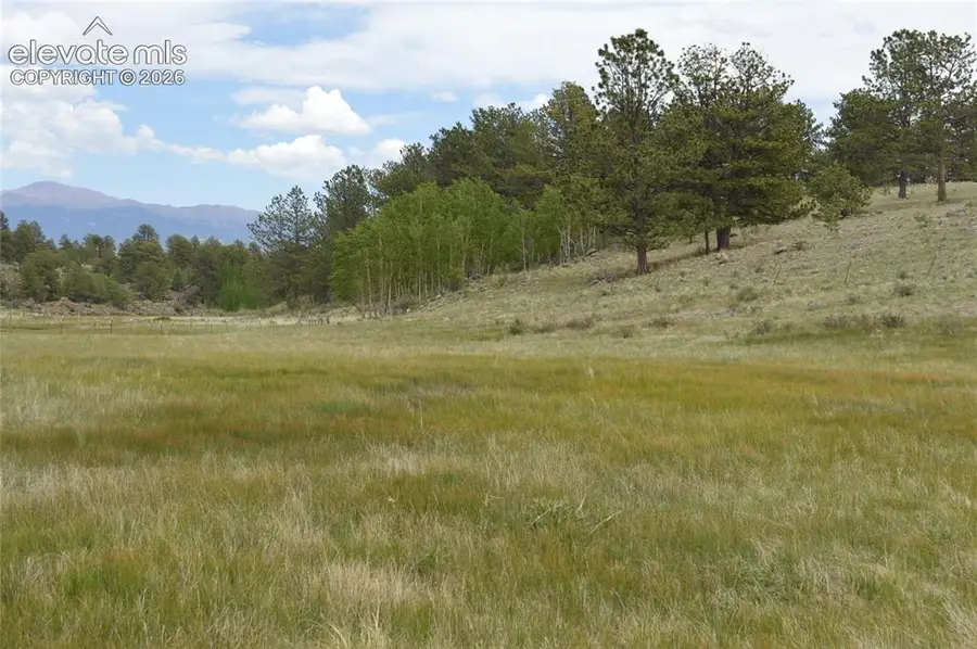344 Valley Road, Guffey, CO 80820 - #2