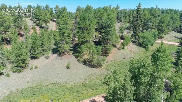 835 Spring Valley Lane, Florissant, CO 80816