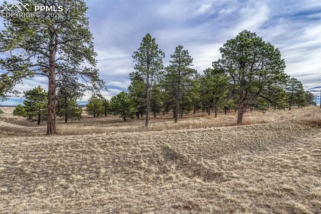 16511 Early Light Drive, Colorado Springs, CO 80908 - #1