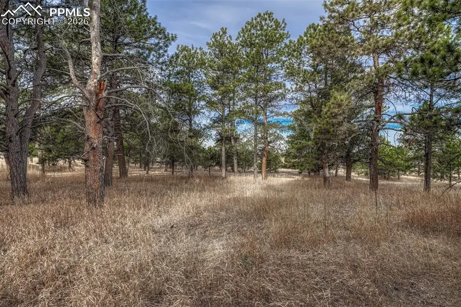 16511 Early Light Drive, Colorado Springs, CO 80908 - #3