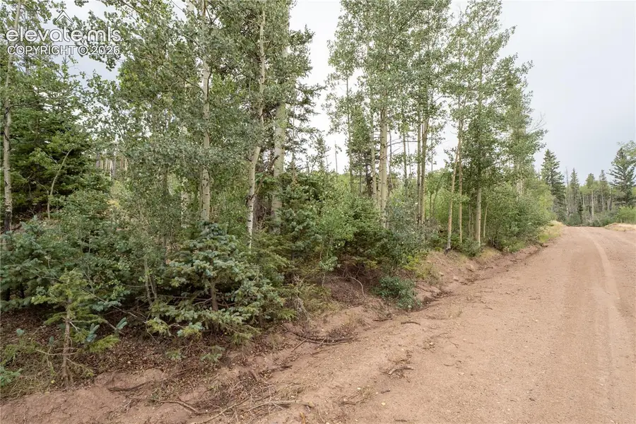 Lot 2571 Andes Loop, Fort Garland, CO 81133 - #2