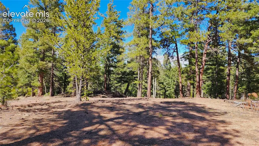 178 Gerka Lane, Florissant, CO 80816 - #1