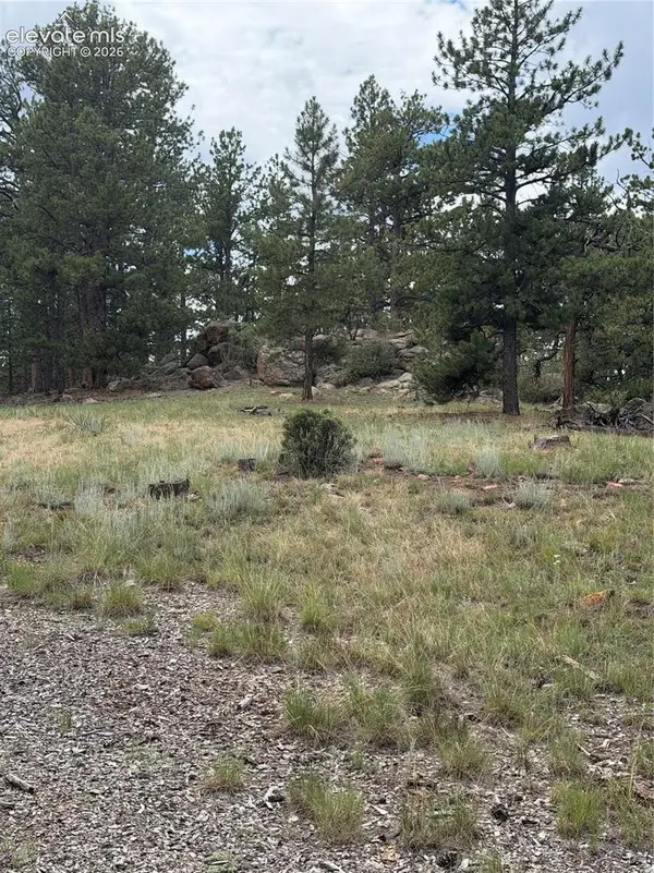 11042 Teller County Road 1, Florissant, CO 80816